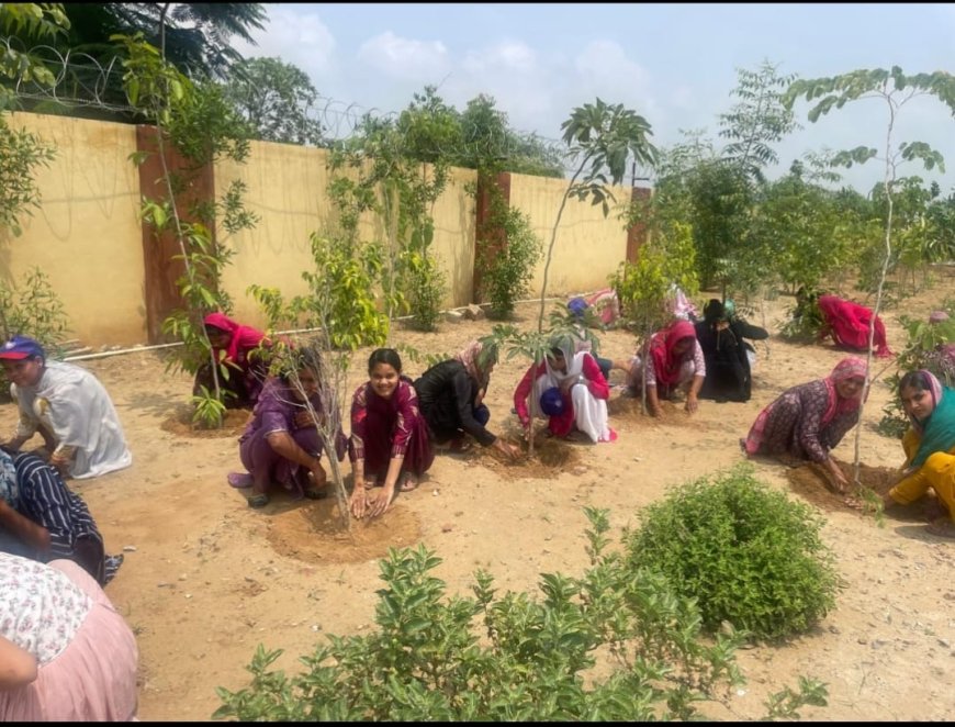 एक पेड़ मां के नाम अभियान के तहत टपूकड़ा कॉलेज में पौधारोपण से दिया पर्यावरण संरक्षण का संदेश