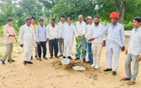 "अधिक से अधिक पेड़ लगाकर करें धरती का श्रृंगार": इंद्रपुरा में कांग्रेस पर्यावरण प्रकोष्ठ ने किया वृक्षारोपण, बांटे पौधे