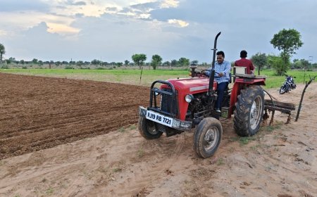 देर से मेहरबान हुई बारिश, खरीफ फसलों की बुवाई में जुटे किसान; बारिश से खेतों में लौटी रौनक, खेती-किसानी में जगी नई उम्मीद