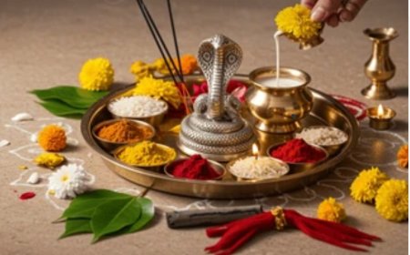 लक्ष्मणगढ़ में श्रद्धा और उल्लास से मना पर्व: महिलाओं ने नाग देवता को अर्पित किया दूध, घरों में बना अंकुरित अनाज का प्रसाद