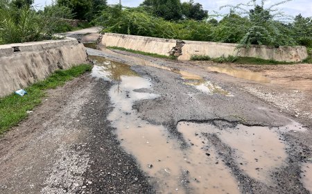 ​'विकसित भारत' के दावों पर फिरा पानी: PWD की अनदेखी से बदहाल 5 किमी का मार्ग, बारिश में तालाब बनी सड़क