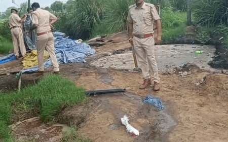 प्रदेशभर में अवैध शराब और तस्करी के खिलाफ कार्रवाई:आबकारी आयुक्त के निर्देश पर प्रदेशभर में छापेमारी, 29 हजार लीटर वॉश और 25 भट्टियां नष्ट