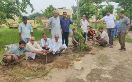 'एक पेड़ मां के नाम': रूपवास मोक्ष धाम में पूर्व प्रधान की पहल पर रोपे गए 31 पौधे, सुरक्षा का लिया संकल्प