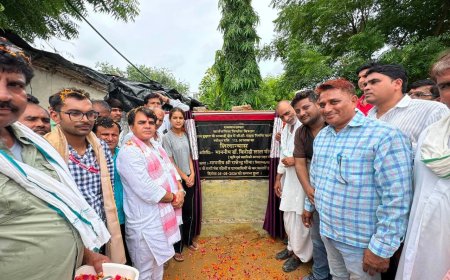 महुवा: विधायक राजेंद्र मीणा ने दिए करोड़ों के विकास कार्यों की सौगात, सड़कों और स्कूल भवन का किया लोकार्पण