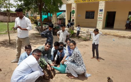 सोऊ की ढाणी विद्यालय में पौधारोपण व जियो टैगिंग कार्यक्रम आयोजित, भामाशाह ने भेंट किए सीसीटीवी कैमरे