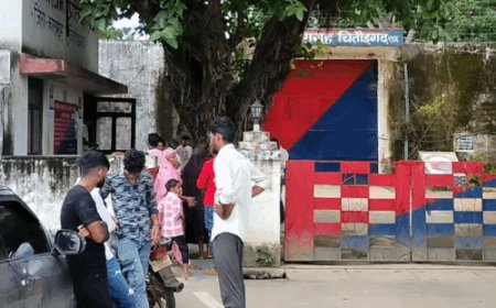 चित्तौड़गढ़ जेल में बंदियों की 'पार्टी और रील' का मामला गरमाया: 10 आरोपी गिरफ्तार, जेलर समेत 4 कर्मचारी निलंबित