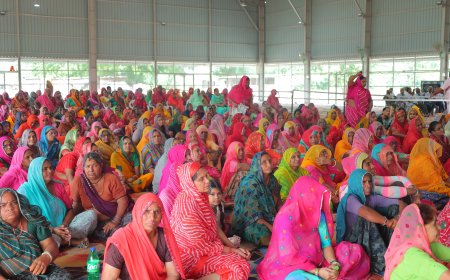 अर्धनारीश्वर स्वरूप का दिव्य संदेश: शक्ति और शिव का संतुलन ही जीवन की पूर्णता, गुरला में गूंजे 'हर-हर महादेव' के जयकारे