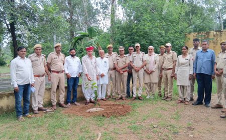 'पेड़ ही हमारे जीवन का आधार':इंद्रपुरा नर्सरी में वन सुरक्षा समिति और वन विभाग की टीम ने लगाए पौधे, पूर्व विधायक चौधरी रहे मौजूद