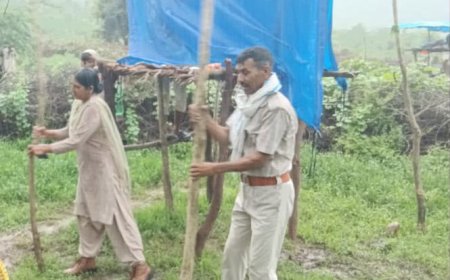 सरिस्का वन क्षेत्र में अतिक्रमण पर वन विभाग का बड़ा एक्शन: कालीखोल में बनाए गए आधा दर्जन अवैध बाड़े किए ध्वस्त