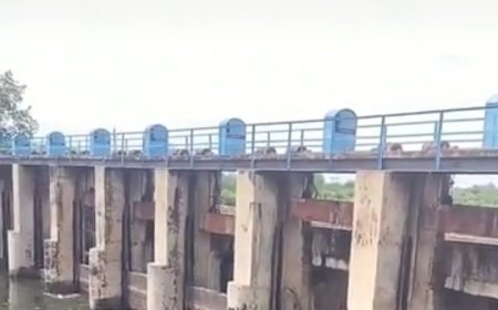 बंध बारैठा बांध में 26.60 फीट पानी; 50 गांव में अलर्ट, पशुओं को सुरक्षित स्थानों पर ले जाने की चेतावनी 