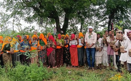 हरियालो राजस्थान अभियान: बिरकड़ी में चारागाह भूमि पर लहराएगी हरियाली, ग्रामीणों व महिलाओं ने किया सघन पौधरोपण