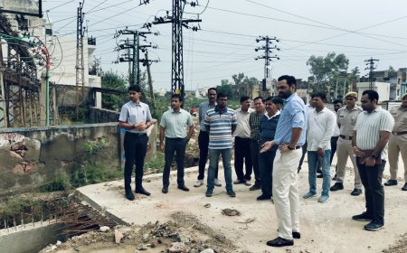 भरतपुर जिला कलक्टर कमर चौधरी का सख्त रुख:चौराहों के सौंदर्यीकरण और जल निकासी में तेजी लाने के निर्देश