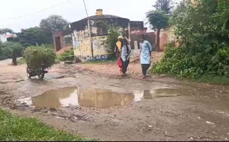 आजादी के जश्न के बीच बदहाली की तस्वीर: सोपुरा स्कूल का गेट बना 'तालाब', गंदे पानी से होकर परेड प्रैक्टिस करने को मजबूर मासूम