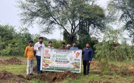 40 साल का अतिक्रमण खत्म, अब लहलहाएंगे 1000 पौधे': किशनगढ़बास PWD की बड़ी कार्रवाई; एक बीघा सरकारी जमीन मुक्त कराकर बिछाई हरियाली की चादर