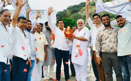 पालड़ीजोड़ में गोगाजी महाराज का 20वां वार्षिक मेला धूमधाम से संपन्न
