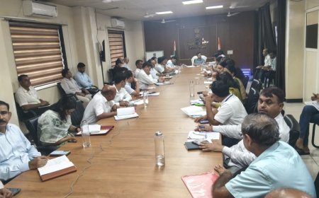 साप्ताहिक समीक्षा बैठक: 30 दिन से अधिक लंबित प्रकरणों पर अफसरों की तय होगी जवाबदेही, कलेक्टर ने दिए सख्त निर्देश