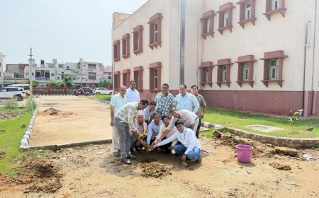 भरतपुर चैंबर ऑफ कॉमर्स ने ईएसआई डिस्पेंसरी में रोपे 101 पौधे; 'एक पेड़ माँ के नाम' अभियान के तहत पर्यावरण संरक्षण का लिया संकल्प