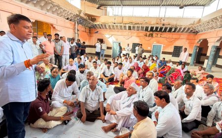 मंडावर में नगर निकाय चुनाव को लेकर कांग्रेस कार्यकर्ताओं की बैठक, चुनावी रणनीति पर हुआ मंथन
