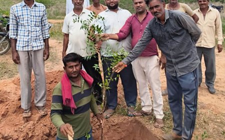 मैलाणा में पर्यावरण संरक्षण का अनूठा संदेश: ग्रामीणों ने फुटी नाड़ी पर किया सामूहिक पौधारोपण, पौधों को सहेजने का लिया संकल्प