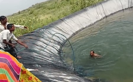 जोधपुर में कलेजा कंपा देने वाला हादसा: खेत की डिग्गी में डूबने से 3 मासूम चचेरे भाई-बहनों की मौत; भाई को बचाने में दो बहनों ने भी गंवाई जान