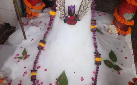 विश्व शांति मंदिर में बर्फानी रूप में विराजे शिव बाबा, भजनों पर झूमे श्रद्धालु