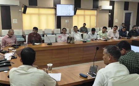 साप्ताहिक समीक्षा बैठक सम्पन्न; हरियालो राजस्थान अभियान में 31 अगस्त तक पौधों की जियोटैगिंग सुनिश्चित करें-जिला कलक्टर