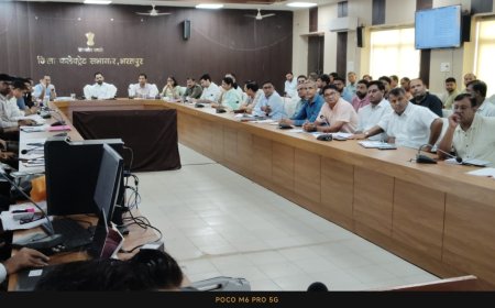 अधिकारीे पूरी गंभीरता के साथ निर्वाचन दायित्वों का करें निर्वहन - जिला निर्वाचन अधिकारी