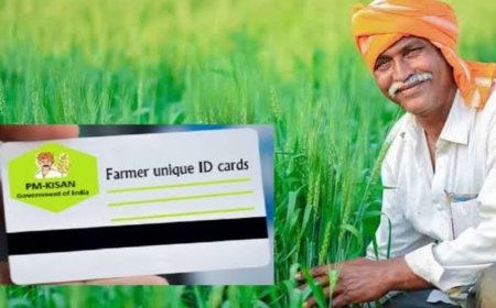राजस्थान में फार्मर आईडी से मिलेगा खाद, कलाबाजारी पर लगेगा अंकुश; 11 और जिलों में लागू हुआ DBT POS का नया वर्जन 3.77