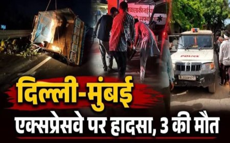 दिल्ली-मुंबई एक्सप्रेसवे पर ट्रक से टकराई पिकअप, 3 की मौत: गाड़ी में पीछे सो रहे थे, पलटने से नीचे दबे; मेरठ से पौधे लेकर आ रहे थे