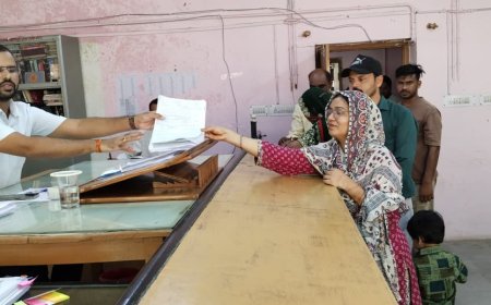 जहाजपुर पालिका चुनाव: 22 उम्मीदवारों ने दाखिल किए 25 नामांकन, अब तक 29 प्रत्याशियों के 33 पर्चे