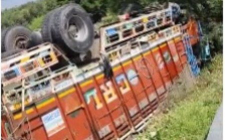 दिल्ली-मुंबई एक्सप्रेस-वे पर ट्रक पलटा, टायर फटने से हुआ हादसा
