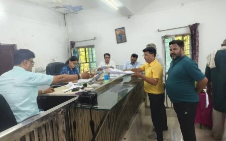 लक्ष्मणगढ़ नगर पालिका में 25 वार्डों के लिए हुए 115 पर्चा दाखिल