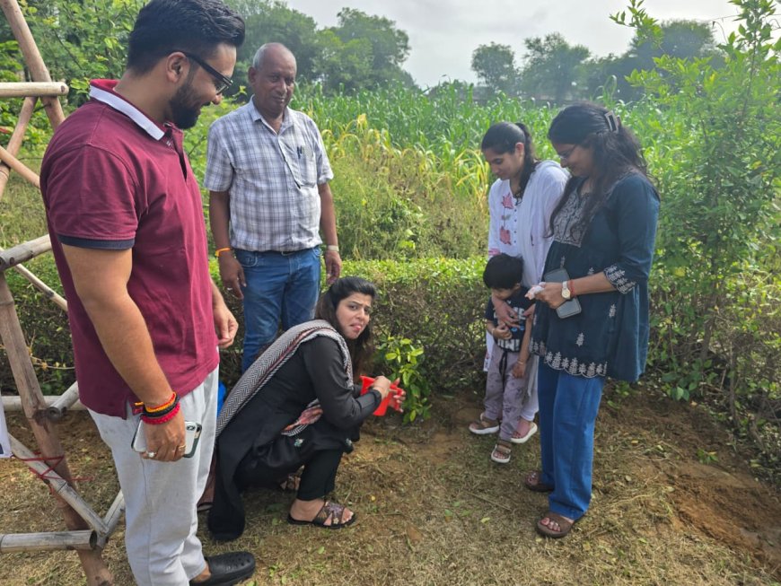 लायन्स क्लब एवं लियो क्लब ने पौधारोपण अभियान को दी नई गति, लगाए 51 और फलदार पौधे