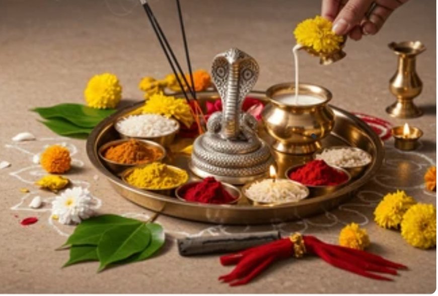 लक्ष्मणगढ़ में श्रद्धा और उल्लास से मना पर्व: महिलाओं ने नाग देवता को अर्पित किया दूध, घरों में बना अंकुरित अनाज का प्रसाद