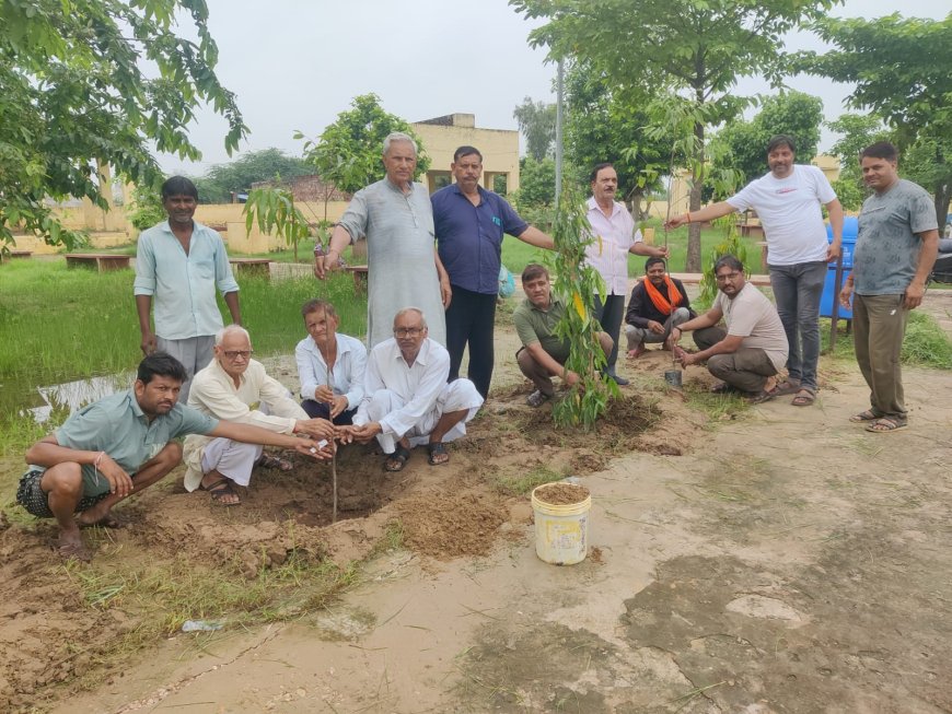 'एक पेड़ मां के नाम': रूपवास मोक्ष धाम में पूर्व प्रधान की पहल पर रोपे गए 31 पौधे, सुरक्षा का लिया संकल्प