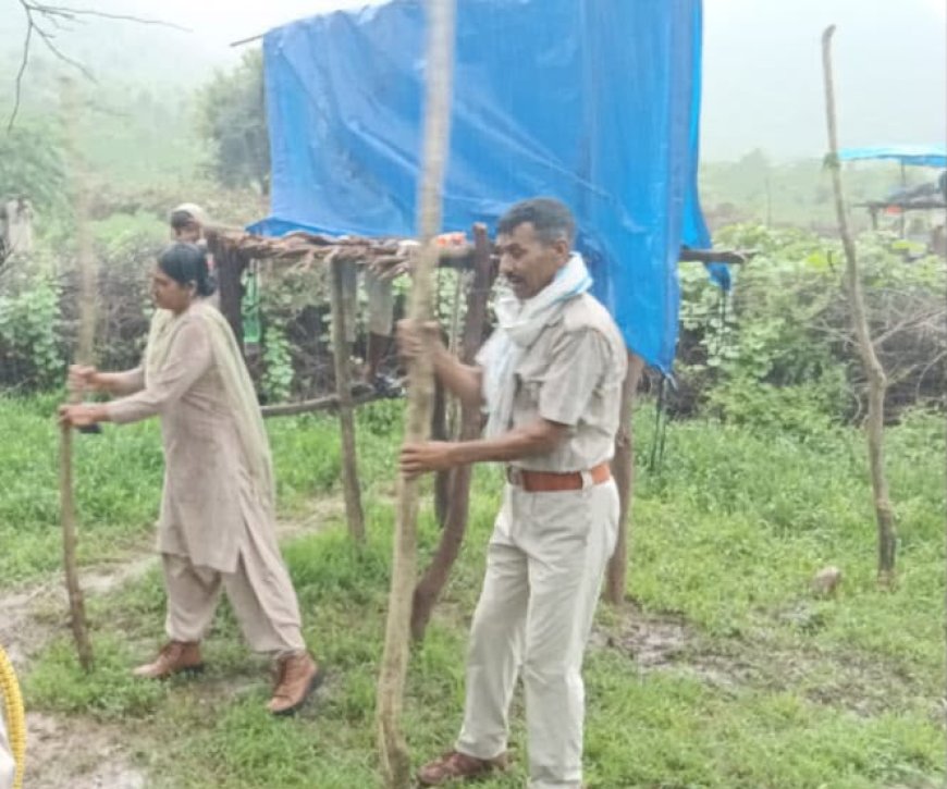 सरिस्का वन क्षेत्र में अतिक्रमण पर वन विभाग का बड़ा एक्शन: कालीखोल में बनाए गए आधा दर्जन अवैध बाड़े किए ध्वस्त