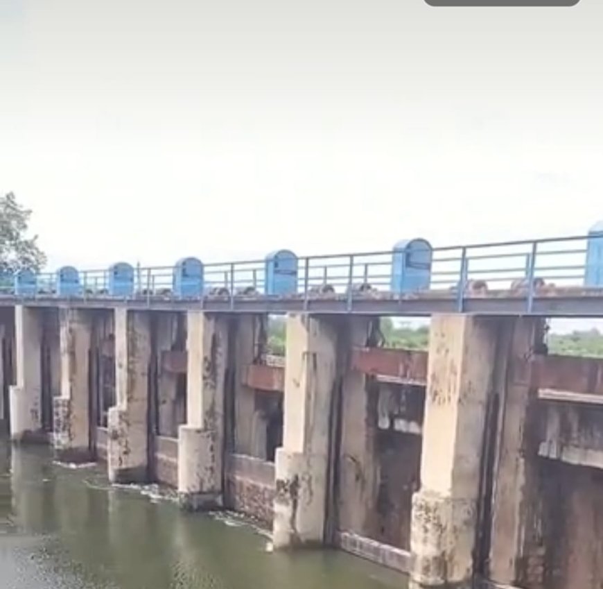 बंध बारैठा बांध में 26.60 फीट पानी; 50 गांव में अलर्ट, पशुओं को सुरक्षित स्थानों पर ले जाने की चेतावनी 