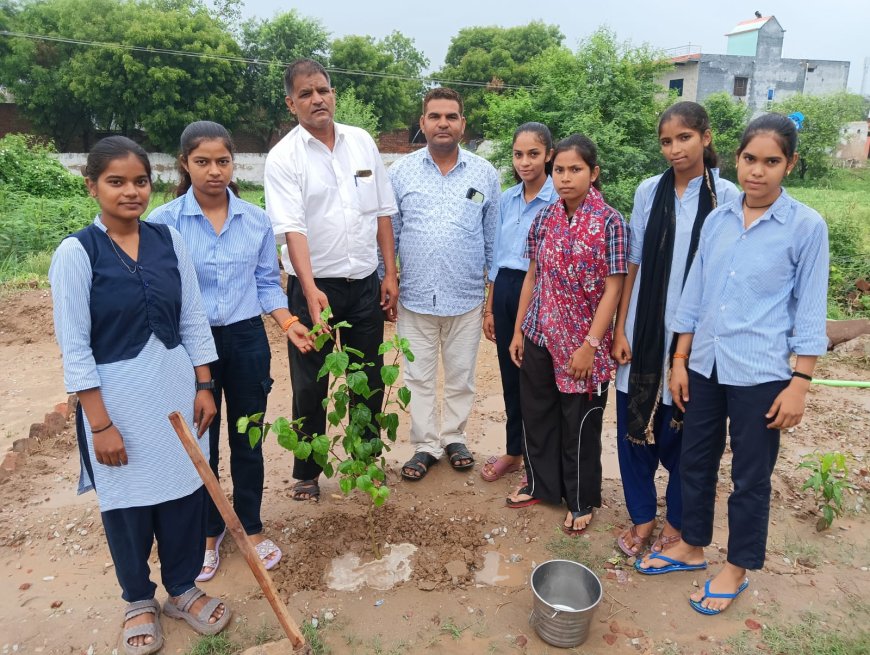 हलैना: बालिकाओं ने पौधारोपण कर लिया 11-11 पेड़ लगाने का संकल्प