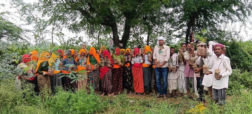 हरियालो राजस्थान अभियान: बिरकड़ी में चारागाह भूमि पर लहराएगी हरियाली, ग्रामीणों व महिलाओं ने किया सघन पौधरोपण