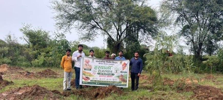 40 साल का अतिक्रमण खत्म, अब लहलहाएंगे 1000 पौधे': किशनगढ़बास PWD की बड़ी कार्रवाई; एक बीघा सरकारी जमीन मुक्त कराकर बिछाई हरियाली की चादर