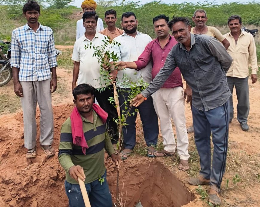 मैलाणा में पर्यावरण संरक्षण का अनूठा संदेश: ग्रामीणों ने फुटी नाड़ी पर किया सामूहिक पौधारोपण, पौधों को सहेजने का लिया संकल्प