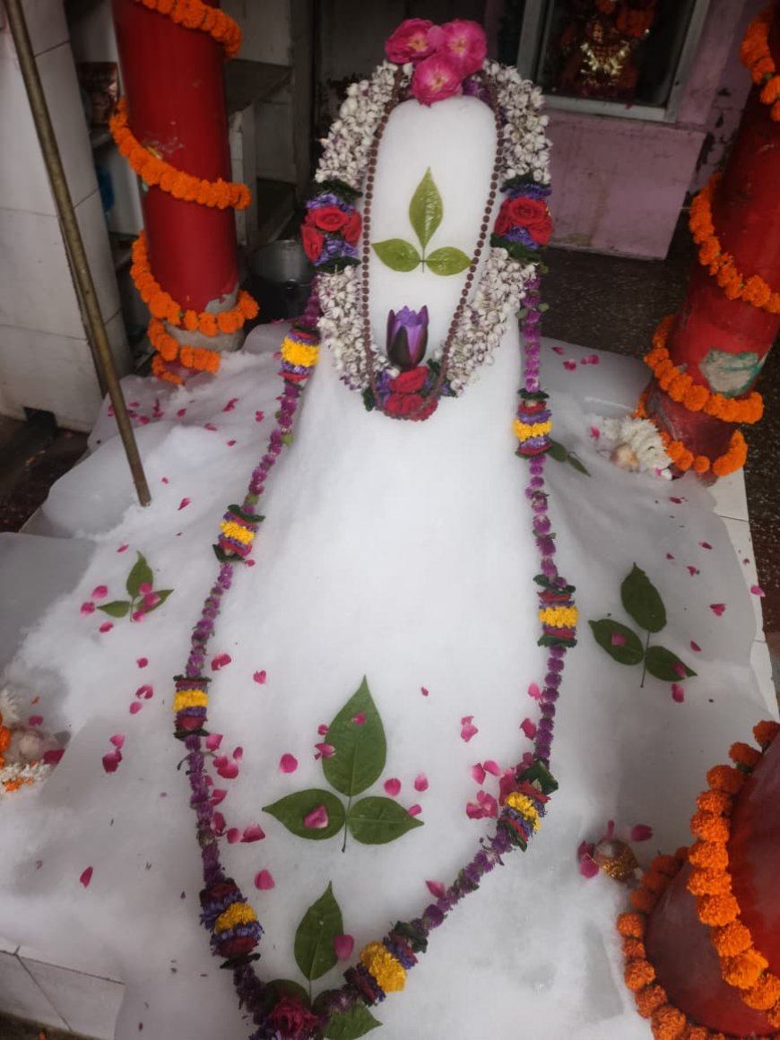 विश्व शांति मंदिर में बर्फानी रूप में विराजे शिव बाबा, भजनों पर झूमे श्रद्धालु