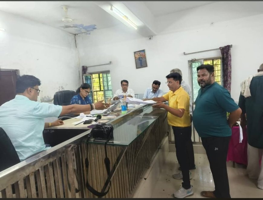 लक्ष्मणगढ़ नगर पालिका में 25 वार्डों के लिए हुए 115 पर्चा दाखिल