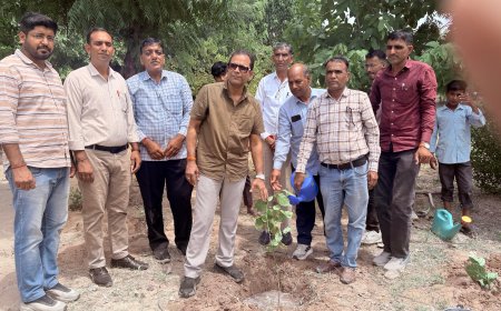 पीएम श्री राजकीय उच्च माध्यमिक विद्यालय बावड़ी में 51 पौधारोपण कर पर्यावरण संरक्षण संदेश दिया