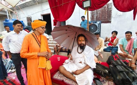 मालकेतु 24 कोसी परिक्रमा: दूसरे दिन शाकंभरी पहुंची ठाकुर जी की पालकी, श्रद्धालुओं ने जमाया डेरा