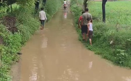जलमग्न हुआ माली बास का आम रास्ता: ग्रामीणों ने तहसीलदार को सौंपा ज्ञापन