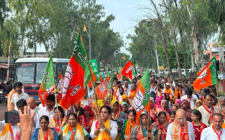 महुवा में भाजपा का शक्ति प्रदर्शन: 'जन आशीर्वाद रोड शो' में उमड़ा जनसैलाब; विधायक बोले— महुवा-मंडावर में बनेगा भाजपा का बोर्ड