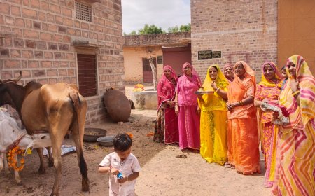 बछ बारस पर उमड़ी आस्था: महिलाओं ने गाय-बछड़े की पूजा कर मांगी पुत्रों की दीर्घायु, रखा निर्जला व्रत