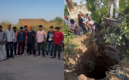 गौरक्षक दल ने गहरे कुएं में गिरी नीलगाय को सुरक्षित बाहर निकाला