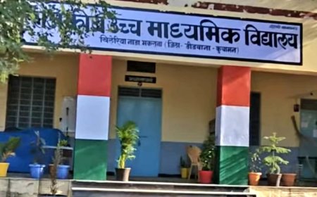 मकराना नगर परिषद चुनाव 60 वार्डों के 284 प्रत्याशियों के भाग्य का फैसला आज, सुबह 8 बजे खिलेरिया नाडा स्कूल में शुरू होगी मतगणना